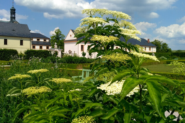 Bylinková zahrada v Kuksu