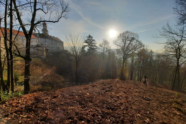 Vysoké šance, Krucifix po vyčištění podrostu (1. etapa)