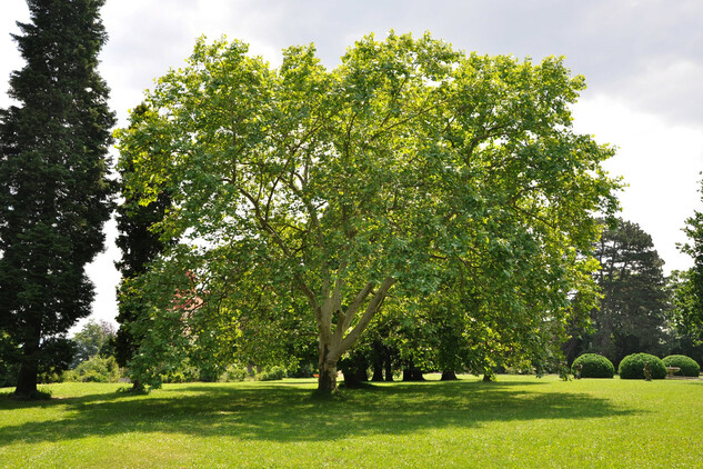 Zámecký park ve Valči | © NPÚ, Helena Heckelová