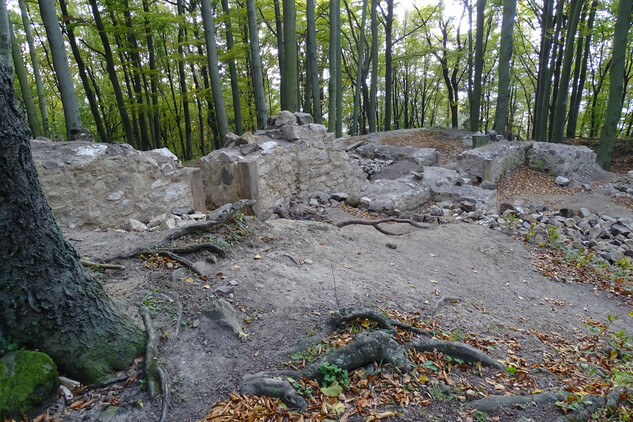 Zříceniny nádvorního průčelí paláce se zakonzervovanými vstupy a pilíři 