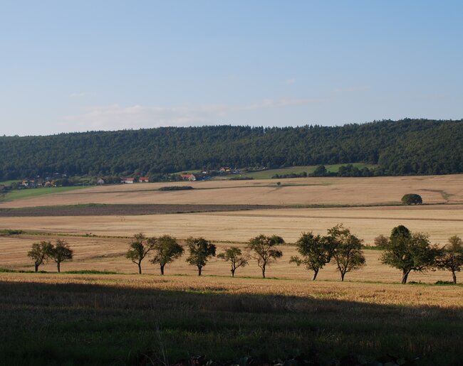 Pohled na Lazovičky od Nových Dvorů