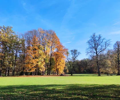 Zámecký park Červený Dvůr, 2024