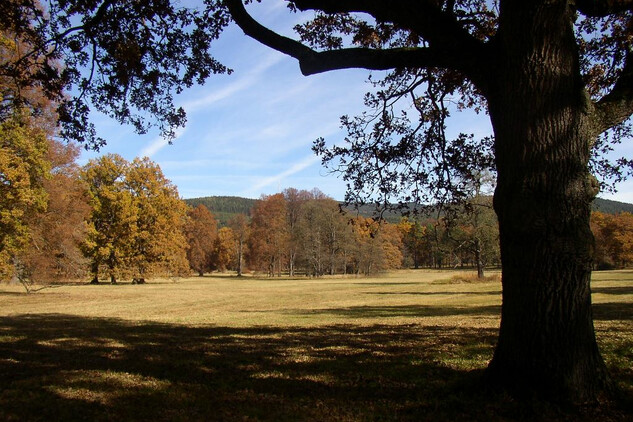 Červený Dvůr - zámecký park.