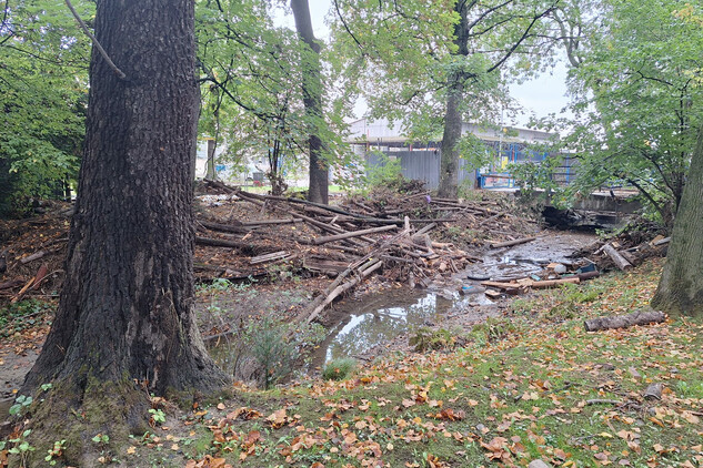 Chářovský park - náhon