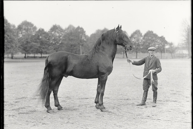 historické foto z archivu zámku Slatiňany